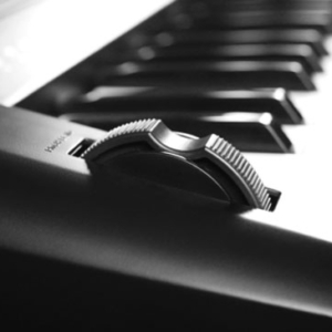 Đàn Keyboard Kurtzman K300s