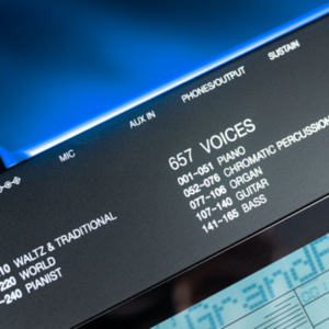 Đàn Organ Kurtzman K350 Giá Rẻ Tphcm