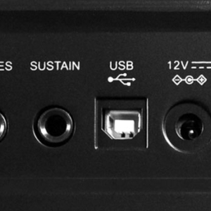 Cổng Kết Nối Của Organ Kurtzman K300s