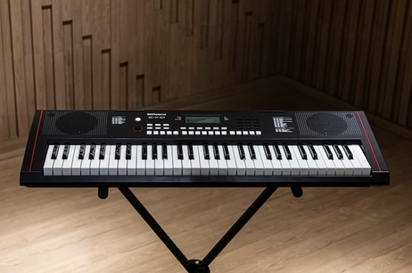 đàn Organ Roland Arranger E-x10