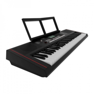 Keyboard Organ Roland E-x10