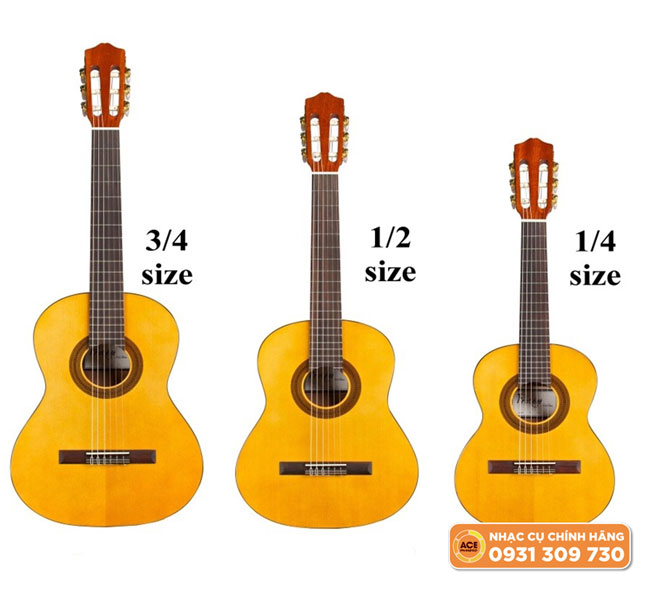Các Dáng đàn Guitar Acoustic Cỡ Nhỏ