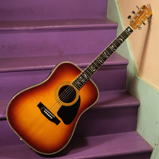 đàn Guitar Thương Hiệu Morris