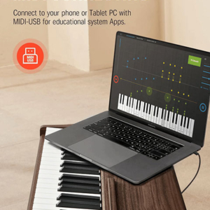 Donner-ddp-80-dan-piano-dien-thiet-ke-hien-dai-5