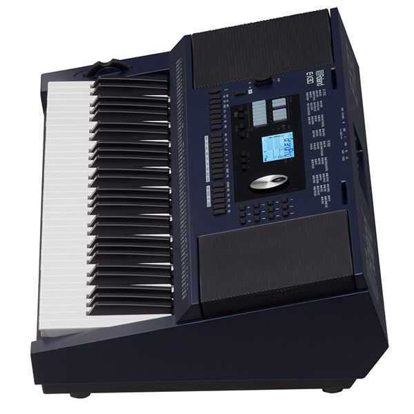 Dan-organ-keyboard-roland-e-x30-mat-hong