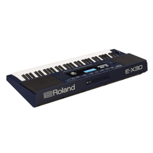 Dan-organ-keyboard-roland-e-x30-mat-lung