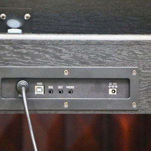 Cong-ket-noi-dan-piano-dien-acutis-adp-30-mau-den-23