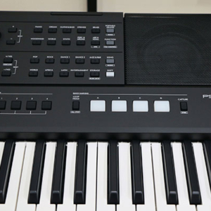 Dan-organ-keyboard-yamaha-psr-e583-loa-2
