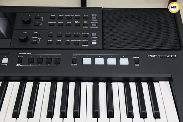 Dan-organ-keyboard-yamaha-psr-e583-loa-2