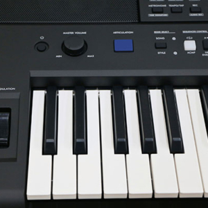 Dan-organ-keyboard-yamaha-psr-e583-nut-nguon-5