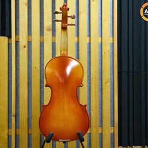 Dan-violin-amati-vw30m-size-1-4-2-4-3-4-4-4-mat-lung