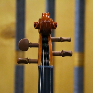 Dan-violin-amati-vw30m-size-1-4-2-4-3-4-4-4-phan-dau-sau