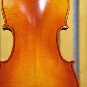 Dan-violin-amati-vw30m-size-1-4-2-4-3-4-4-4-phan-than-sau