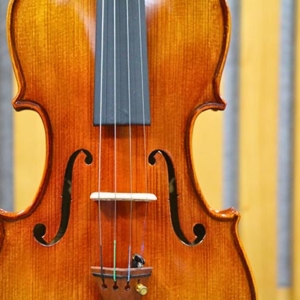 Dan-violin-amati-vw30m-size-1-4-2-4-3-4-4-4-phan-than-truoc