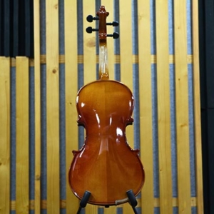 Dan-violin-omebo-rv205-size-1-4-2-4-3-4-4-4-mat-lung