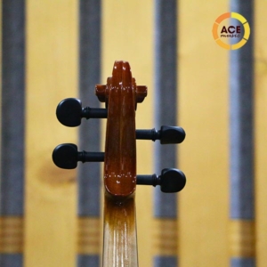 Dan-violin-omebo-rv205-size-1-4-2-4-3-4-4-4-phan-dau-sau