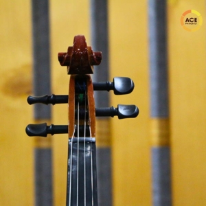 Dan-violin-omebo-rv205-size-1-4-2-4-3-4-4-4-phan-dau-truoc
