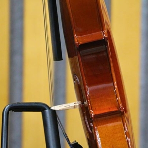 Dan-violin-omebo-rv205-size-1-4-2-4-3-4-4-4-phan-than-hong