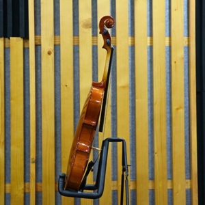 Dan-violin-omebo-rv208-size-1-4-2-4-3-4-4-4-mat-hong