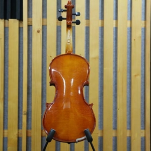 Dan-violin-omebo-rv208-size-1-4-2-4-3-4-4-4-mat-sau