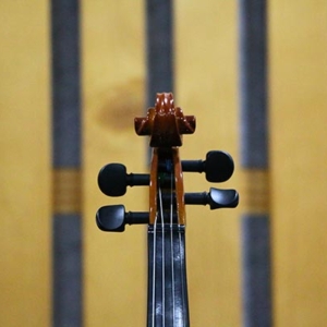 Dan-violin-omebo-rv208-size-1-4-2-4-3-4-4-4-phan-dau-truoc