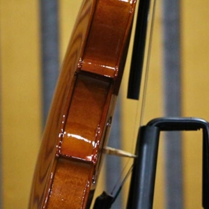 Dan-violin-omebo-rv208-size-1-4-2-4-3-4-4-4-phan-than-hong