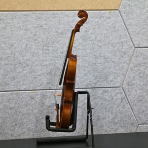 Mat-hong-acutis-ahv2103-dan-violin-size-1-4-2-4-3-4-4-4