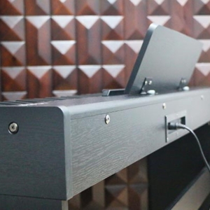 Mat-hong-dan-piano-dien-acutis-adp-30-mau-den-20