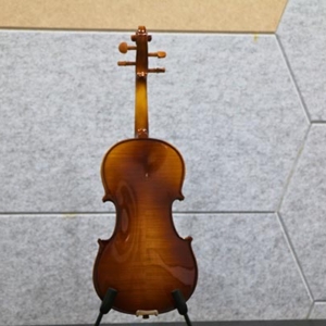 Mat-sau-acutis-ahv2103-dan-violin-size-1-4-2-4-3-4-4-4