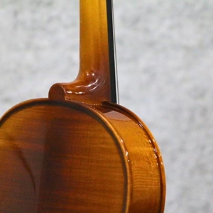 Phan-co-acutis-ahv2103-dan-violin-size-1-4-2-4-3-4-4-4