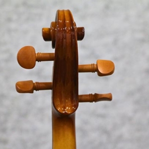Phan-dau- Sau-acutis-ahv2103-dan-violin-size-1-4-2-4-3-4-4-4