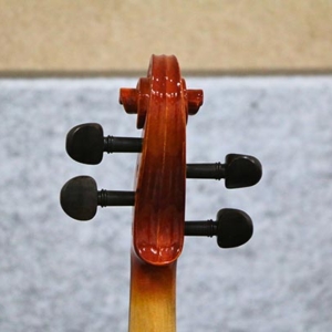 Phan-dau-sau-dan-violin-acutis-ahv3301-size-1-4-2-4-3-4-4-4