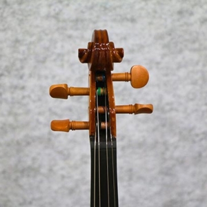 Phan-dau- Truoc-acutis-ahv2103-dan-violin-size-1-4-2-4-3-4-4-4