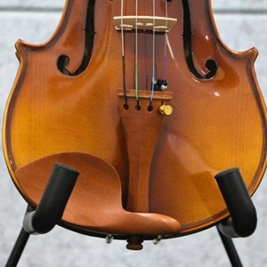 Phan-than-acutis-ahv2103-dan-violin-size-1-4-2-4-3-4-4-4