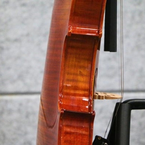 Phan-than-hong-dan-violin-acutis-ahv3301-size-1-4-2-4-3-4-4-4