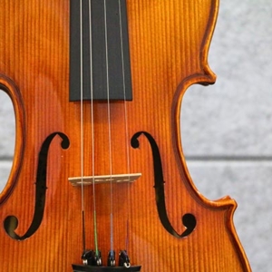 Phan-than-truoc-dan-violin-acutis-ahv3301-size-1-4-2-4-3-4-4-4