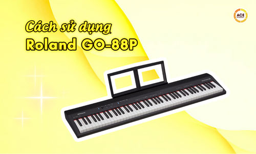 Cach-su-dung-roland-go-88p-cho-nguoi-moi