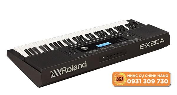 Dan-organ-roland-e-x20a-phia-sau-lung