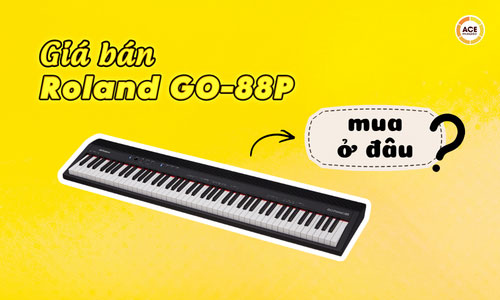 Gia-roland-go-88p-moi-nhat-mua-o-dau-uy-tin
