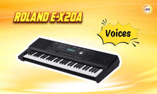 Roland-e-x20a-co-bao-nhieu-am-sac-tim-hieu-cac-voice
