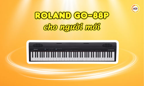 Roland-go-88p-danh-cho-nguoi-moi-co-phu-hop-khong