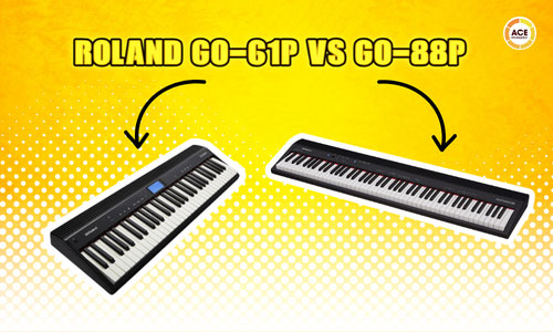 Roland-go-88p-vs-go-61p-khac-biet-gi