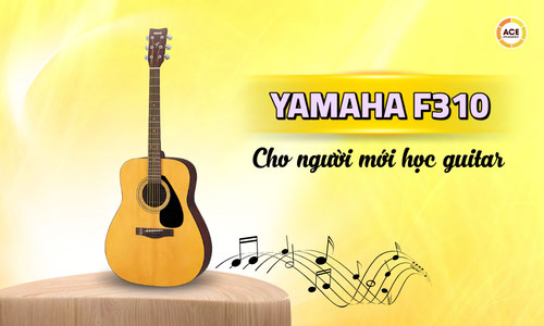 Yamaha-f310-phu-hop-cho-nguoi-moi-hoc-guitar-khong