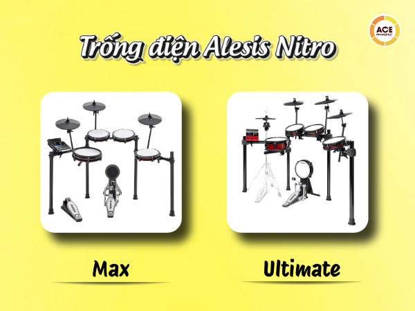 Alesis-nitro-max-vs-ultimate-chenh-lech-co-xung-dang