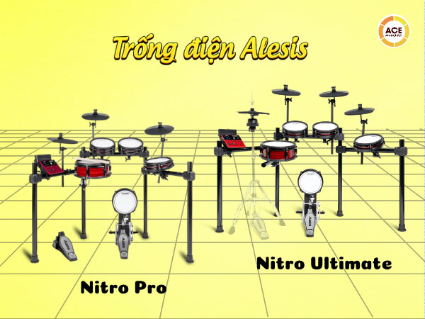 Alesis-nitro-pro-vs-nitro-ultimate-khac-biet-co-dang-tien