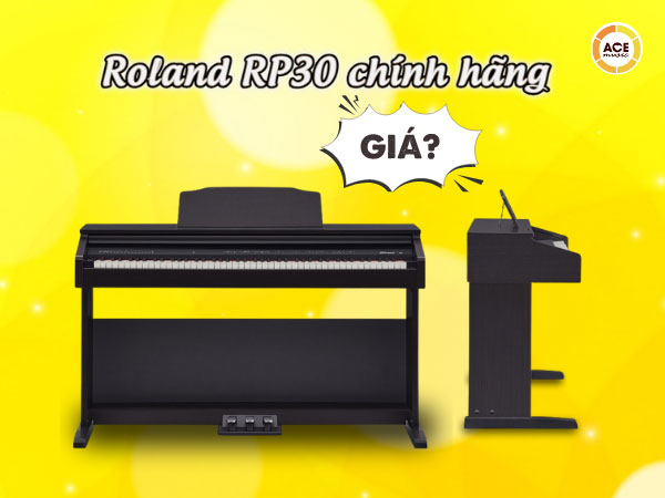 Gia-roland-rp30-chinh-hang-moi-nhat-hom-nay