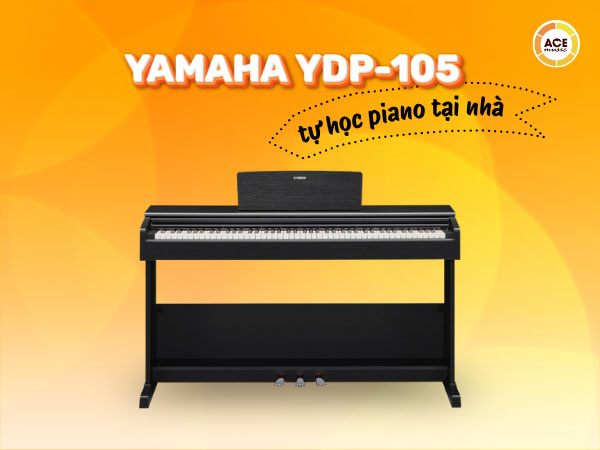 Yamaha-ydp-105-va-nhu-cau-tu-hoc-piano-tai-nha
