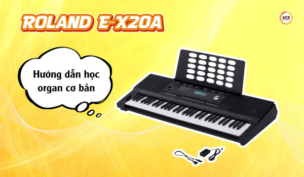 Huong-dan-hoc-dan-organ-co-ban-voi-roland-e-x20a-de-hieu
