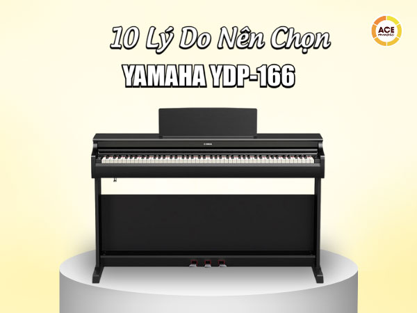 10-ly-do-nen-chon-yamaha-ydp-166-nam-2026