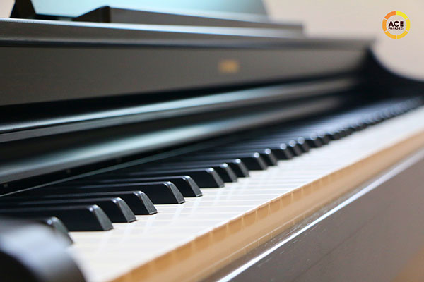 Dan-piano-dien-yamaha-ydp-146-ban-phim